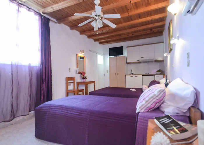 酒店 Panormos And *